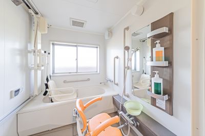 Accessible Bathroom Remodel detail